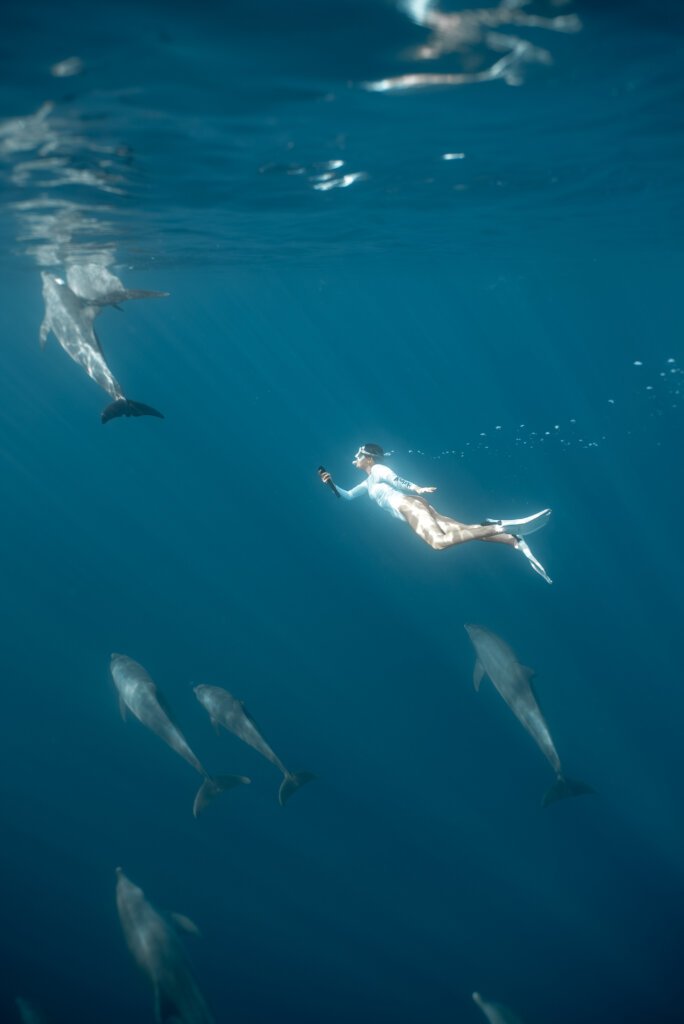 People swimming near wild dolphins in the Red Sea during a private tour in Hurghada.